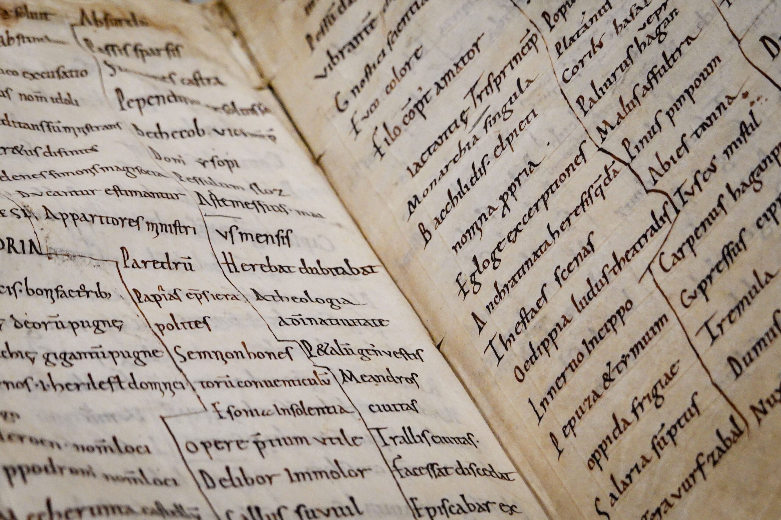 Detalle de un manuscrito antiguo con texto en latín, haciendo referencia al libro de invención liberal y arte del ajedrez. Detalle de un manuscrito antiguo con texto en latín, haciendo referencia al libro de invención liberal y arte del ajedrez.