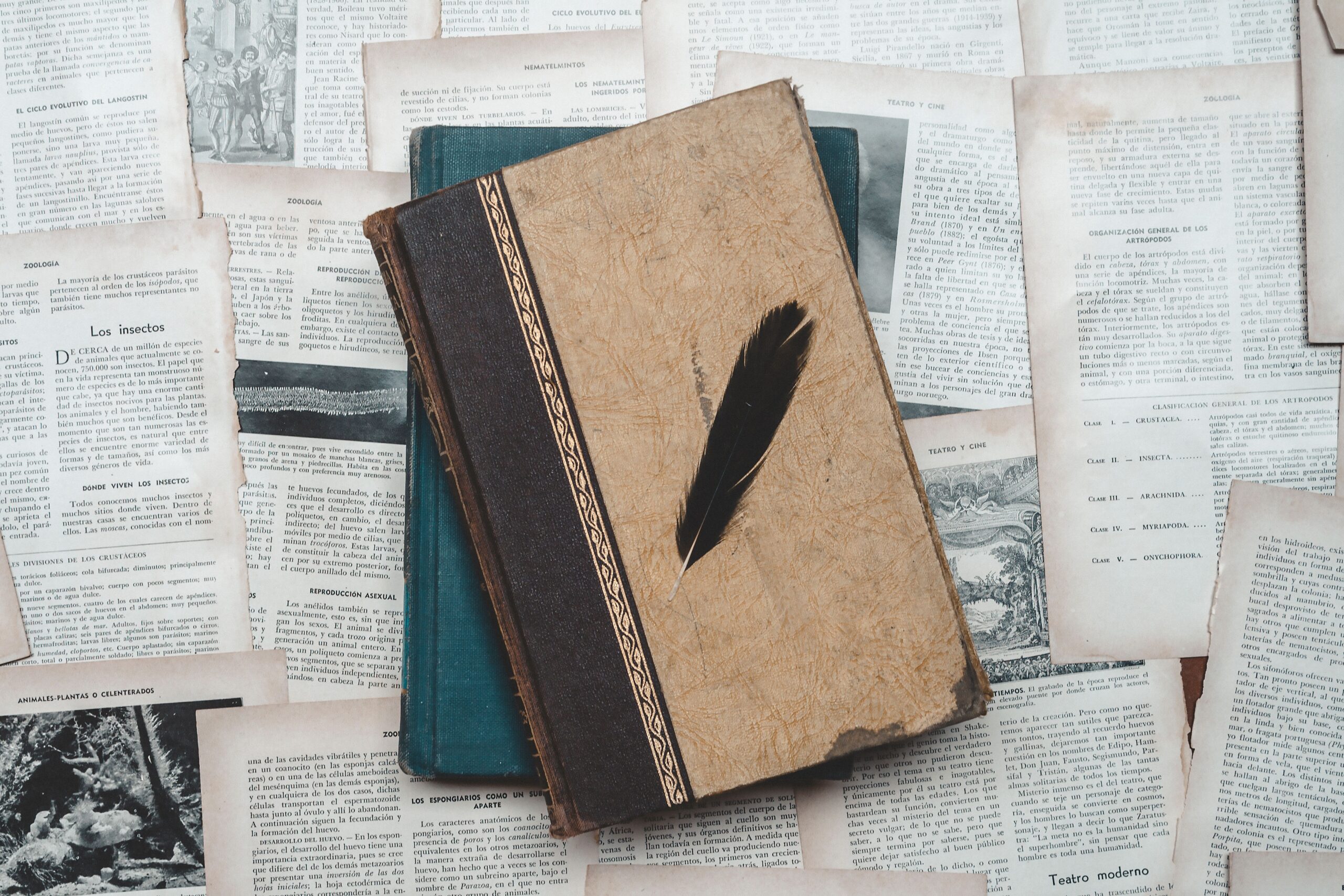 Libros antiguos y una pluma sobre páginas envejecidas, evocando la labor teórica de Ruy López en el siglo XVI. Libros antiguos y una pluma sobre páginas envejecidas, evocando la labor teórica de Ruy López en el siglo XVI.