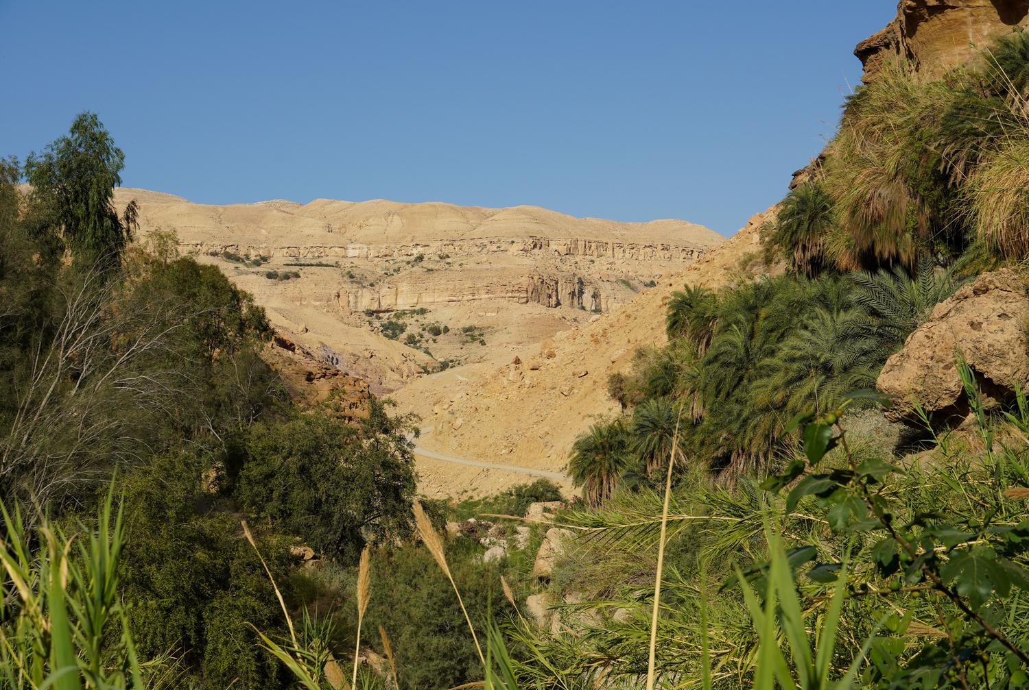 Paisaje del cañón desértico en Al Karak, Jordania, parte del legado histórico del camino del rey. Paisaje del cañón desértico en Al Karak, Jordania, parte del legado histórico del camino del rey.